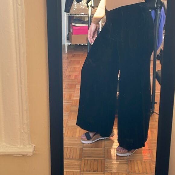 Tracy Reese Anthropologie silk wide leg flocked velvet black pants size 12 - Picture 3 of 17